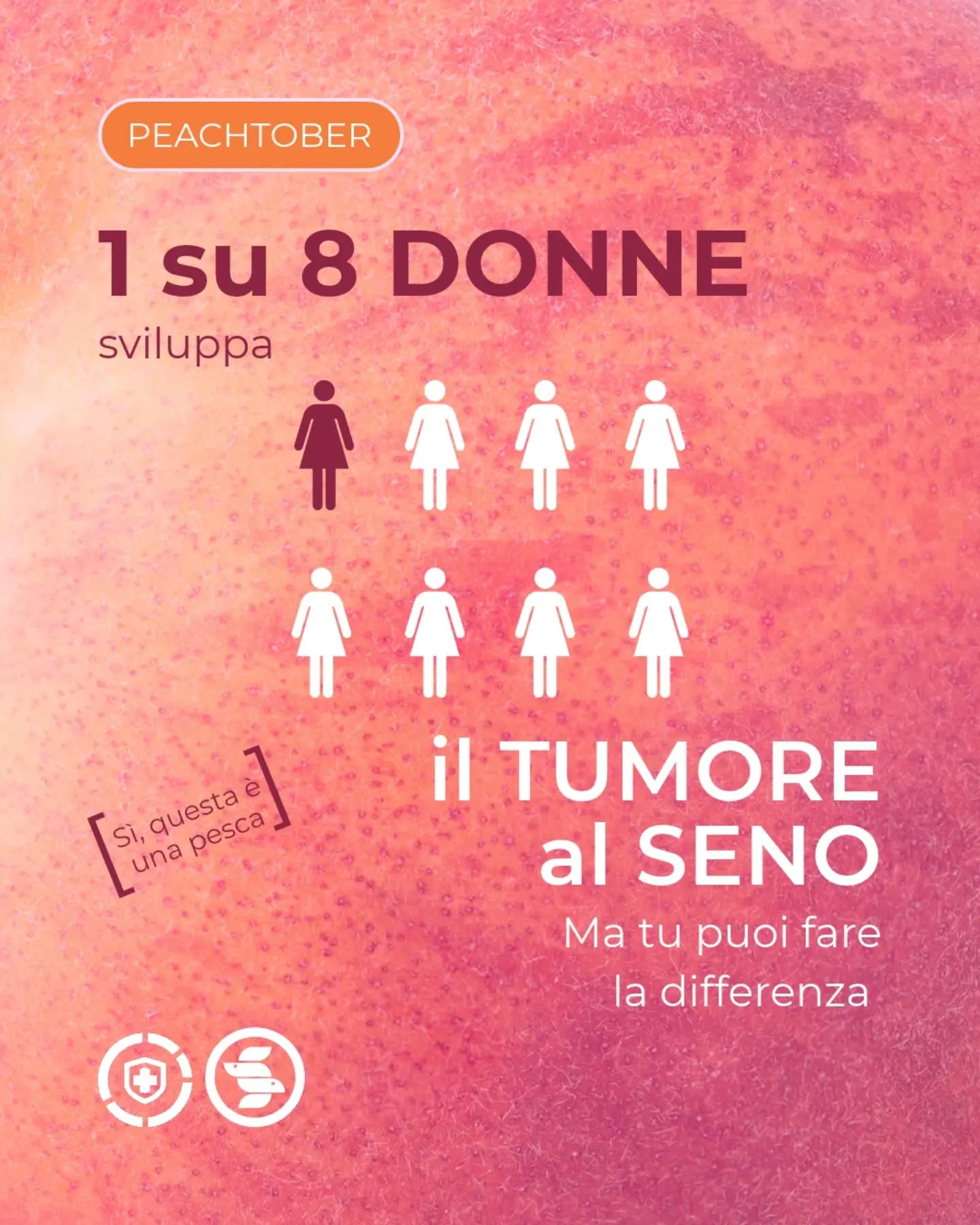 Sapevi che il Pink October è un'invenzione di alcune aziende per unire marketing e sensibilizzazione?

Ottobre è il mese della prevenzione al tumore al seno e noi lo coloriamo di rosa pesca, in ricordo dei primi fiocchetti creati e distribuiti da Charlotte Haley nel 1991 per protestare dei finanziamenti insufficienti del National Cancer Institute (NCI) per la prevenzione del cancro al seno, rifiutando di mercificare il simbolo e speculare su una patologia che riguarda così tante donne (e anche uomini).

#peachoctober #prevenzionetumorealseno #peachribbon